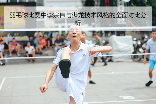 羽毛球比赛中李宗伟与谌龙技术风格的全面对比分析